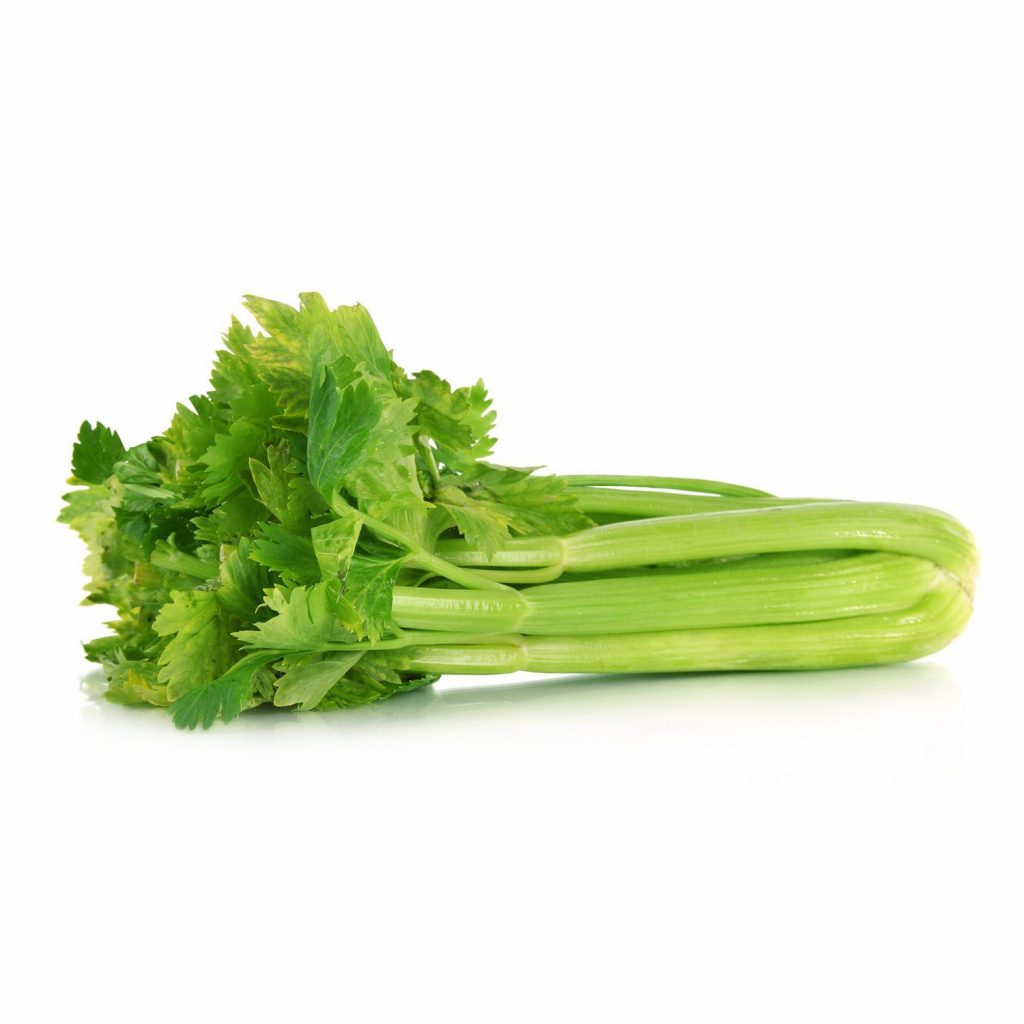 Can Cows Eat Celery?