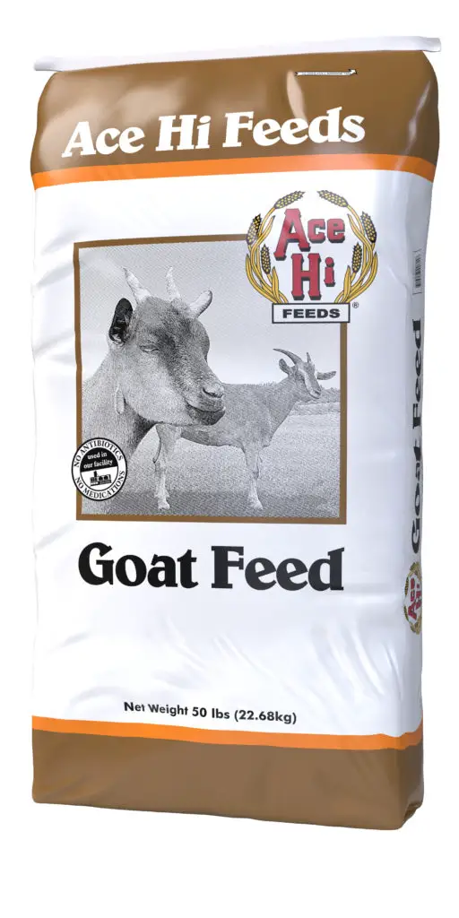 Goat Feed Ingredients