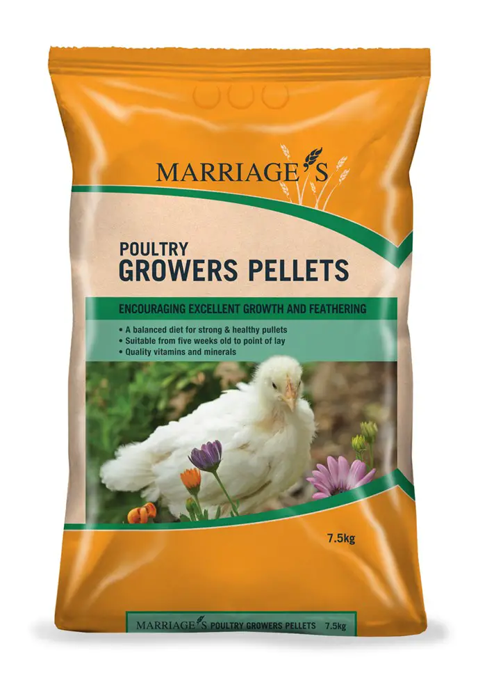 Grower Feed For Chickens