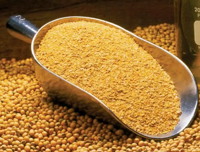 Soybean Meal for Poultry Feed
